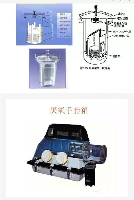 2024澳门原料1688